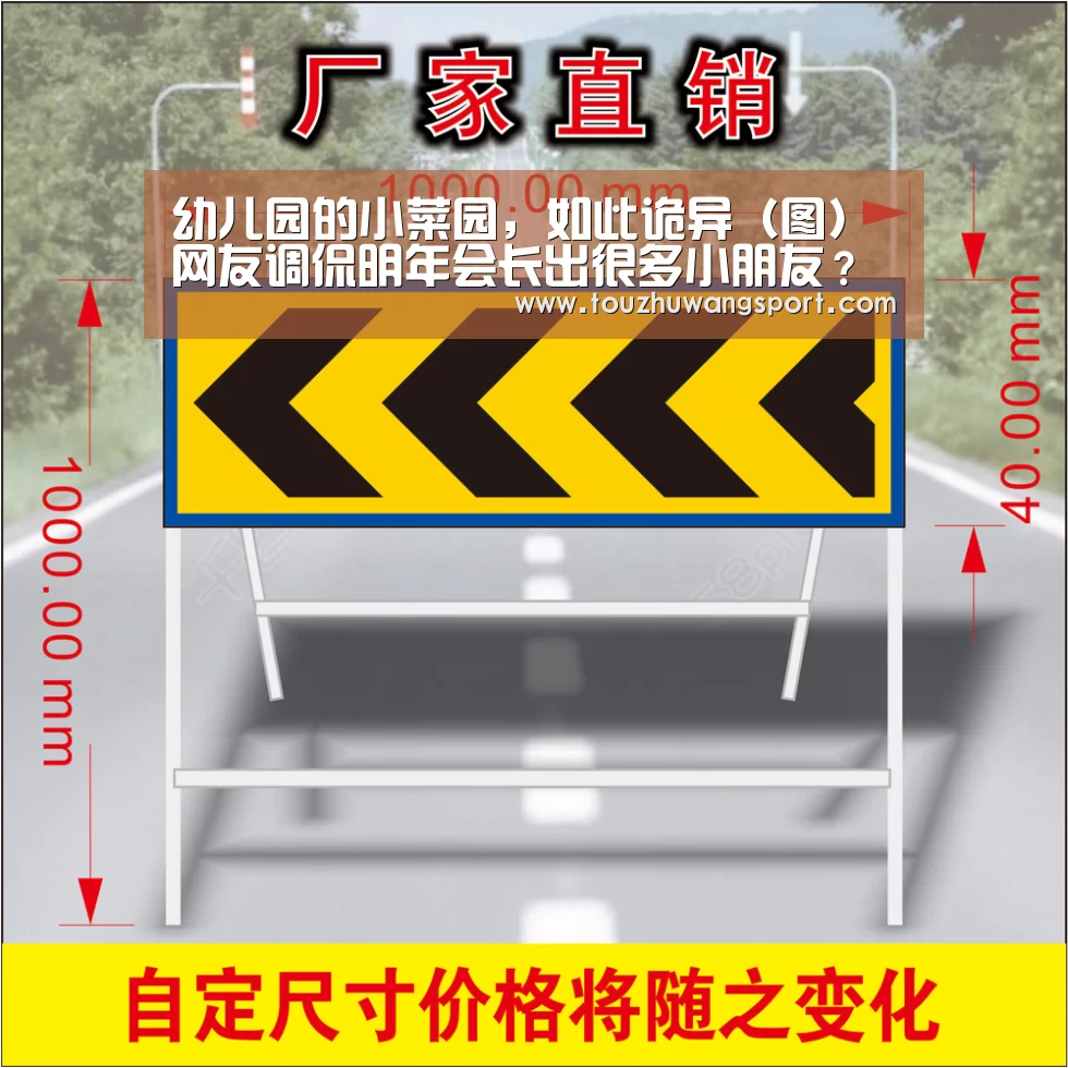 幼儿园的小菜园,如此诡异(图)网友调侃明年会长出很多小朋友?‘英雄联盟竞猜大厅 - LOL全球总决赛下注官方网站直播’(图3) 英雄联盟竞猜大厅 - LOL全球总决赛下注官方网站下载